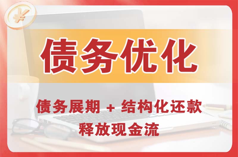蓝田债务优化
